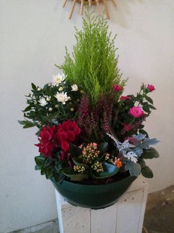 Coupe de Plantes Diam.32